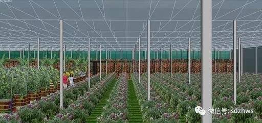 現代農業(yè)玻璃溫室的設計要點與科技應用